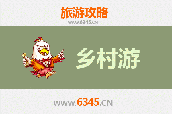 湛江麻章乡村旅游精品线路推荐：探秘红树林与湖光岩的生态之旅